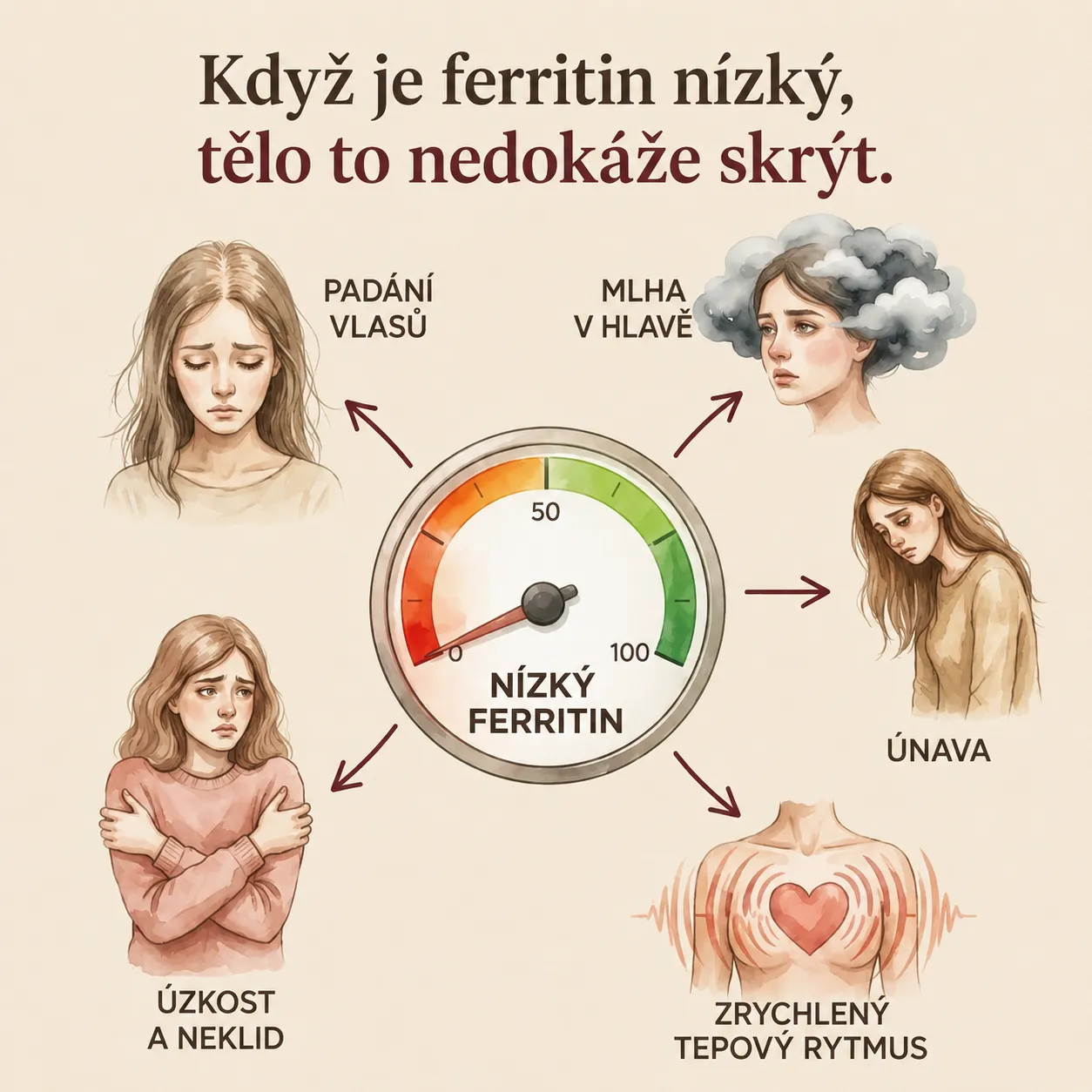 Jak vás ovlivňuje feritin