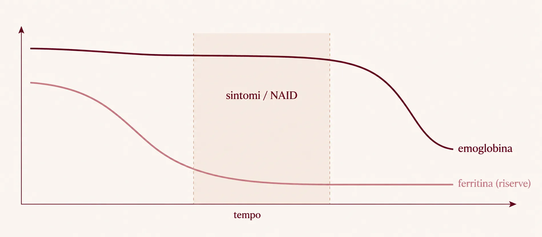 Diagram: feritin klesá dříve než hemoglobin (nedostatek železa, NAID)